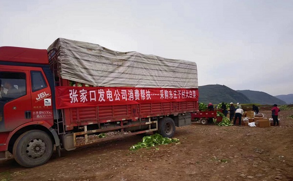 消费帮扶大白菜2.jpg