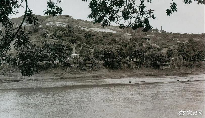 image001.jpg