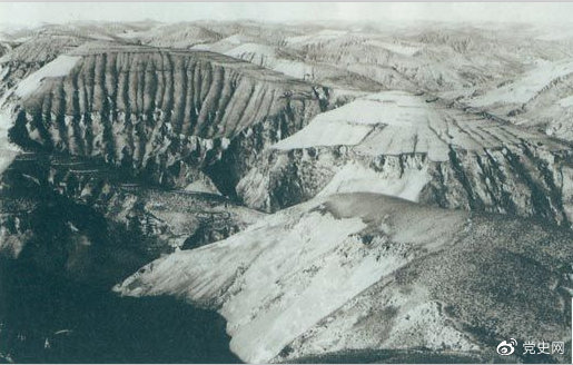 image001.jpg