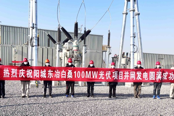 东冶白桑.jpg